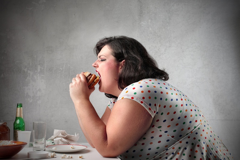 Ăn nhiều thức ăn nhanh, lười vận động có thể gây béo phì